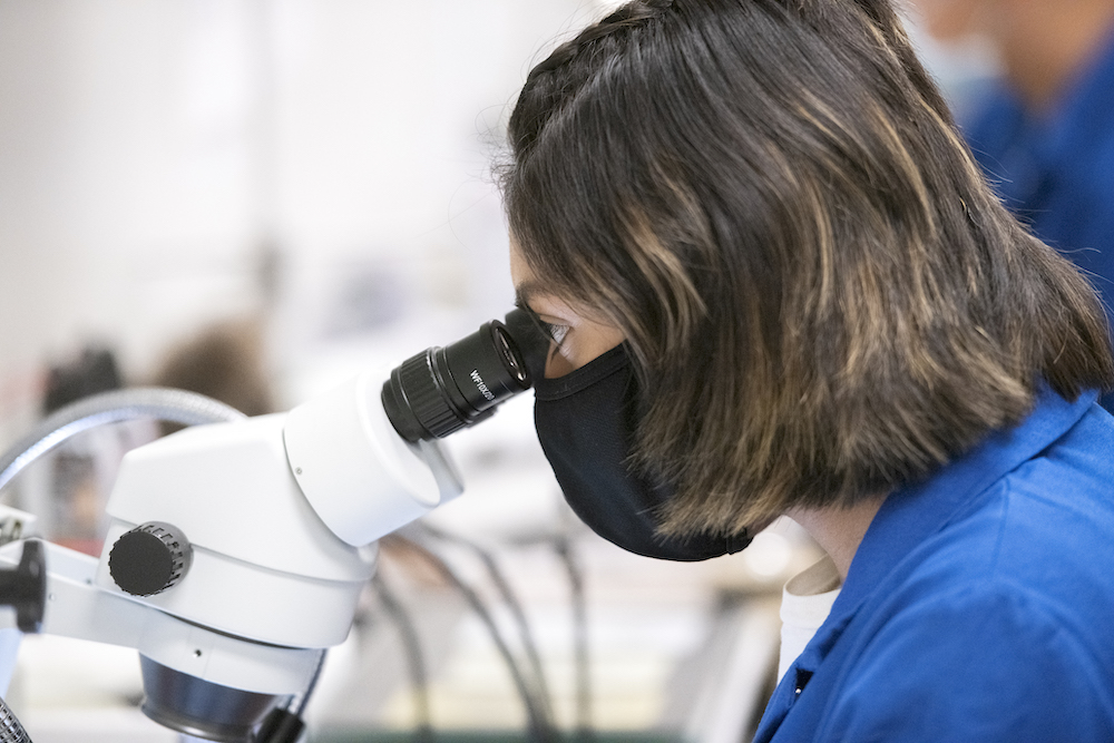 Grad student looking through microscope in CNLM Fellow, Kei Igarashi's lab