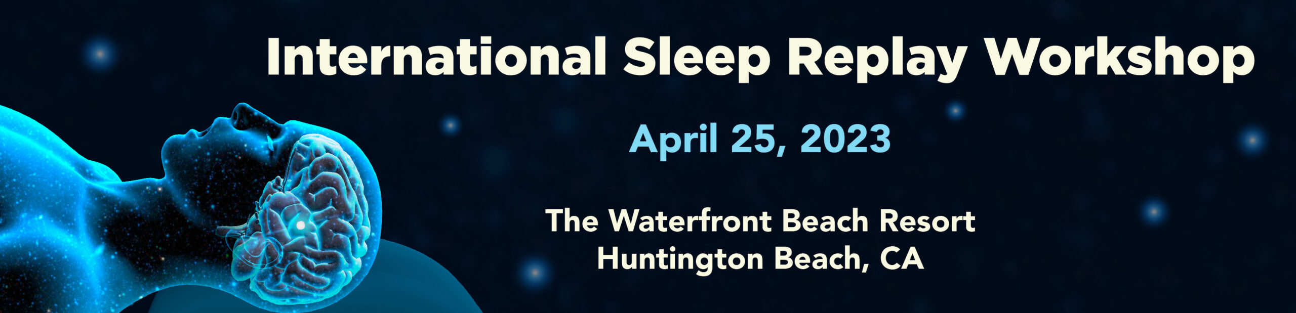 Sleep Replay Workshop